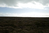 L1100545