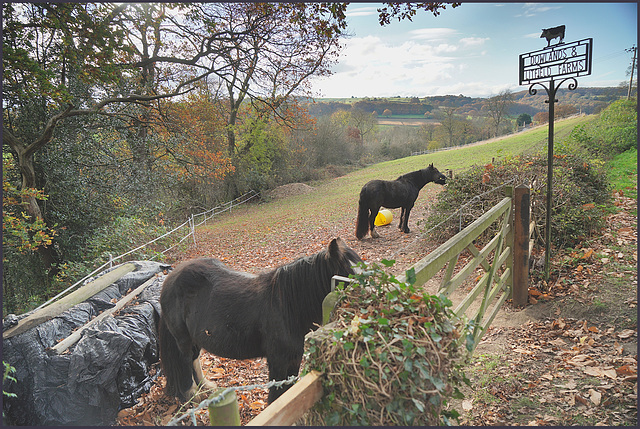 Near the village of  'Ford'  South Sheffield.