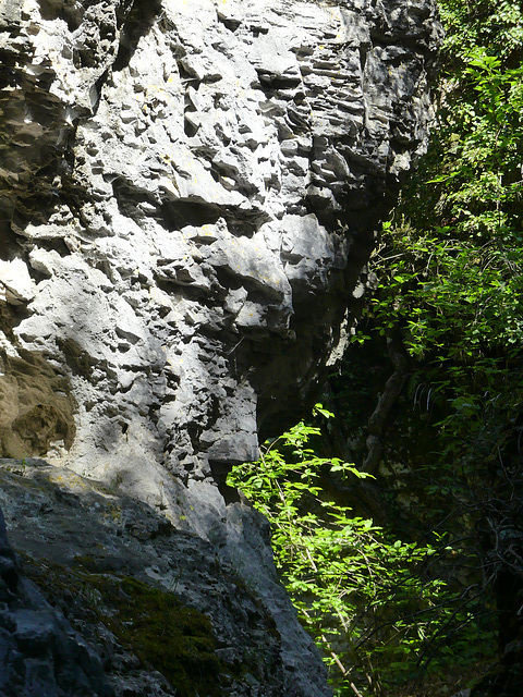 20220511 -15 Lubéron (Goult) (21)