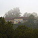 Atmospheres of autumn to Piazzo of Biella - After the rain comes the fog