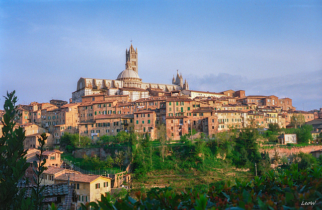 Toskana - Siena