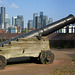 IMG 2856-001-Cannon