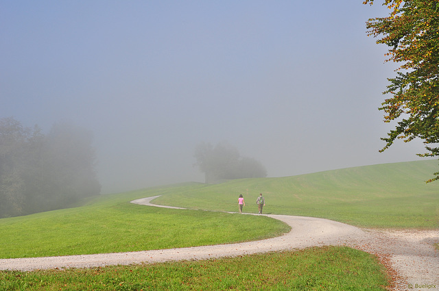 zwischen Felsenegg und Üetliberg (© Buelipix)