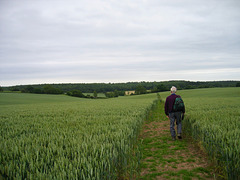 Looking towards Jackson's Bank