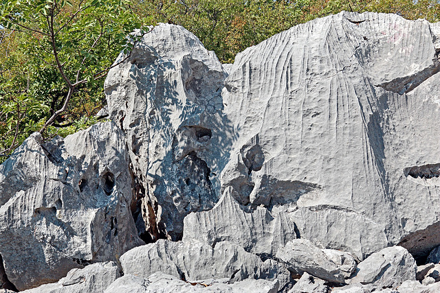 Nationalpark Paklenica - Karst am Wegesrand (2)