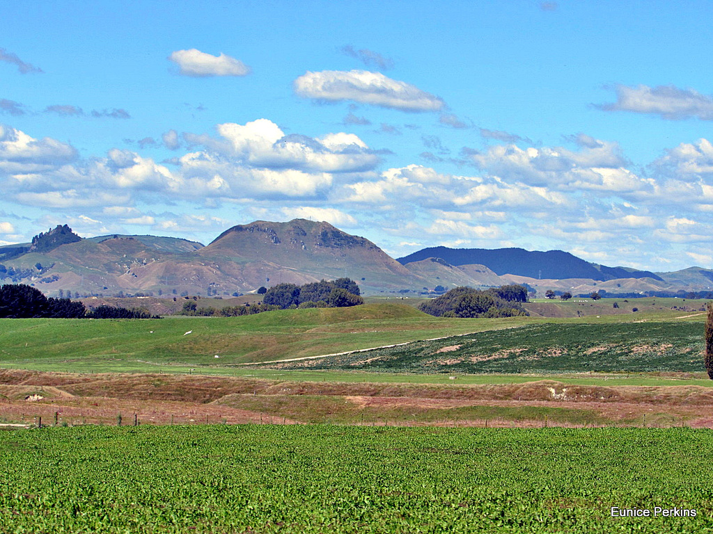 Near Whakamaru.