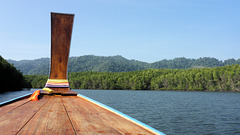 Mangroven am Kanal zwischen Koh Lanta Nord und Süd