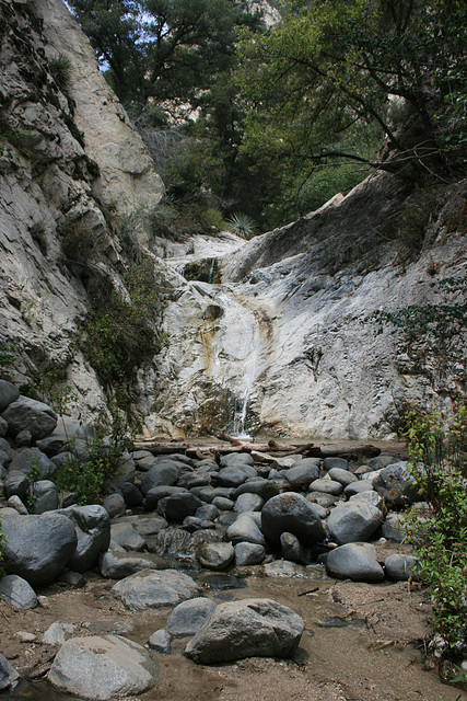 IMG 0431