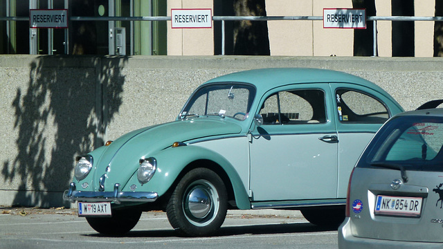 VW Käfer