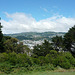 View From Mount Victoria