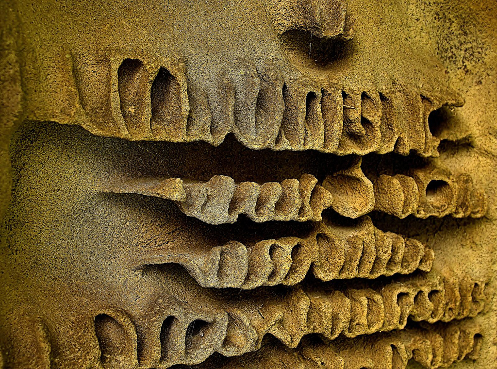 Weathered Gravestone 2