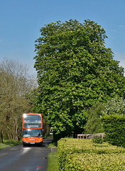 Mulleys Motorways YN04 UJS between Barton Mills and Mildenhall - 10 May 2019 (P1010740)