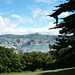 View Over Wellington