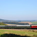 BÖ0011230