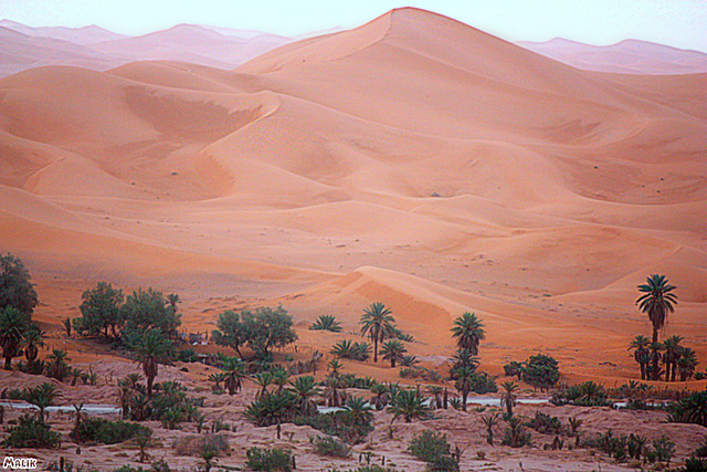 Dune de la Palmeraie.!(Taghit)