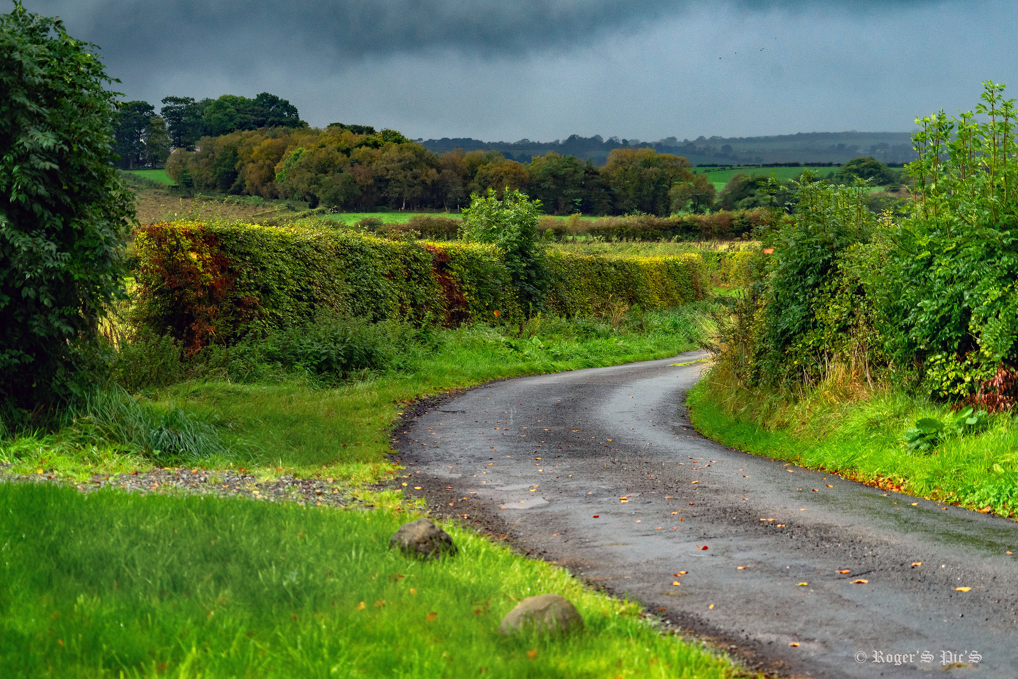 Stormy Signs of Autumn