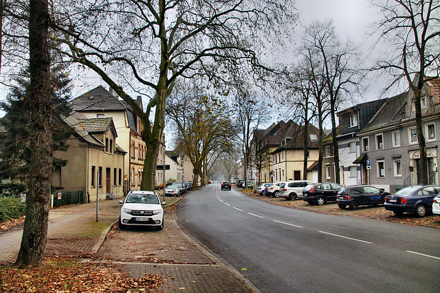 Nordstraße (Herne-Baukau) / 11.12.2021