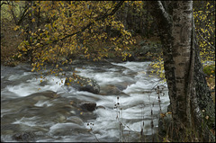 Riu de la Llosa