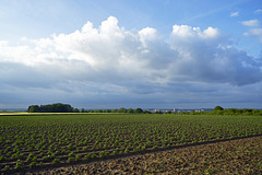 Land-Sky view above Heerlen ¤ NL
