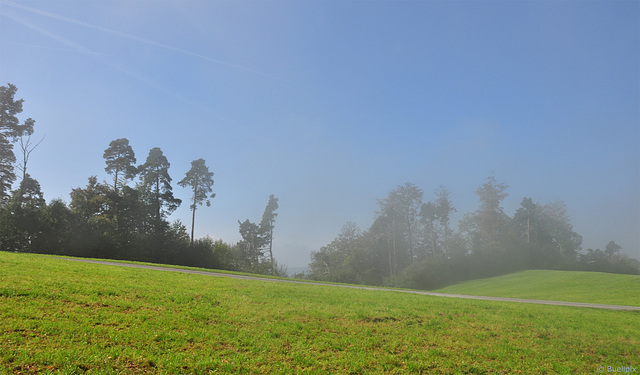 zwischen Felsenegg und Üetliberg (© Buelipix)