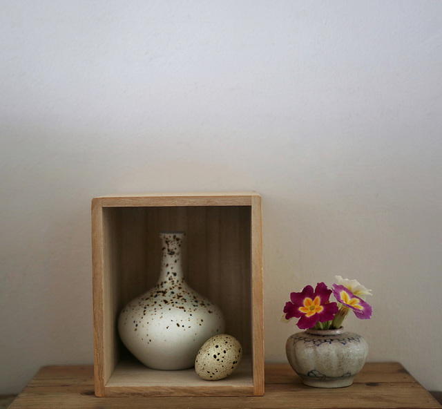 egg box with primroses