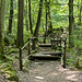 The walkways in the woods