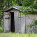 Day 7, old shed, Estero Llano Grande SP