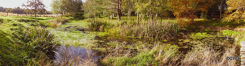 The pond refilled