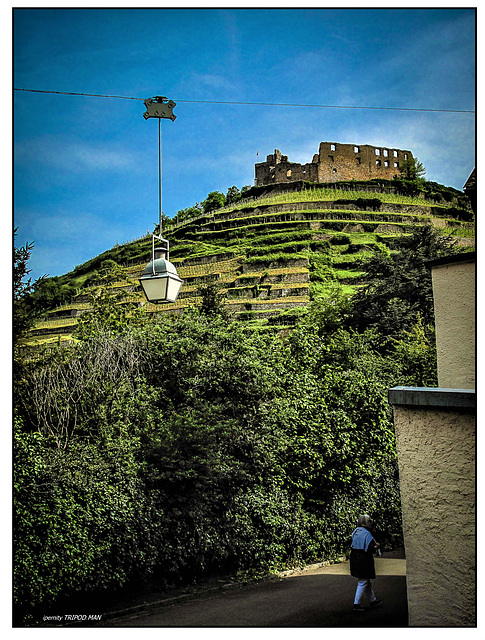 Staufen  Breisgau