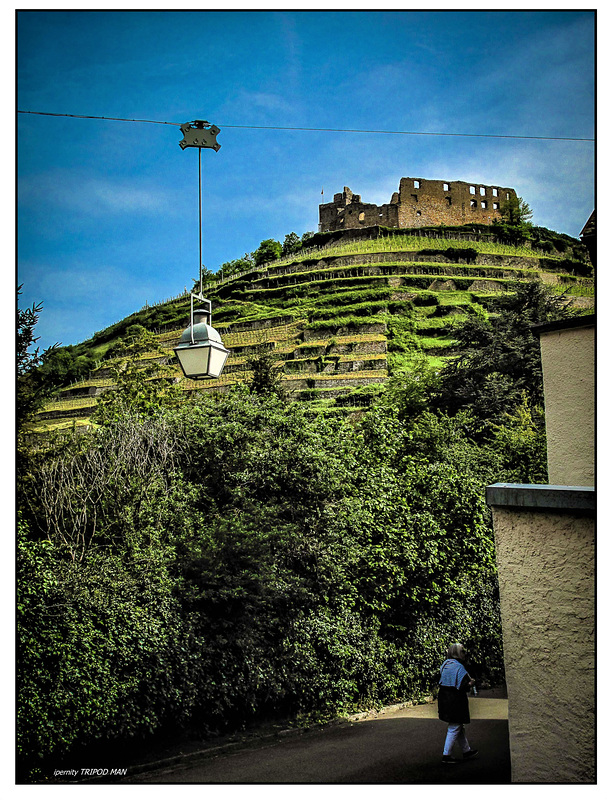 Staufen  Breisgau