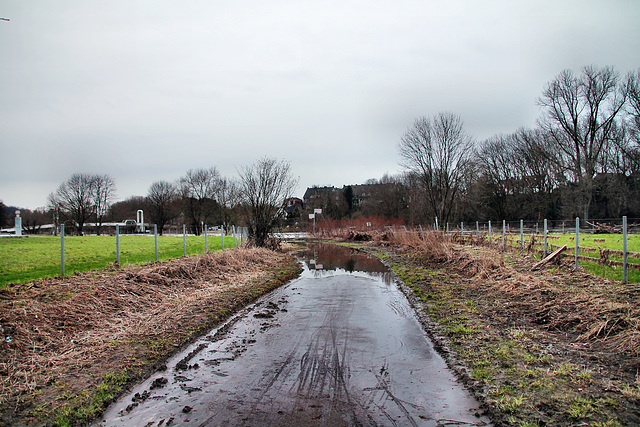 Überschwemmter Weg in der Ruhraue (Essen-Burgaltendorf) / 10.02.2024