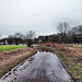 Überschwemmter Weg in der Ruhraue (Essen-Burgaltendorf) / 10.02.2024