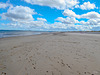 Exceptionally busy morning at Findhorn beach today!