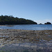 Tessellated Pavement