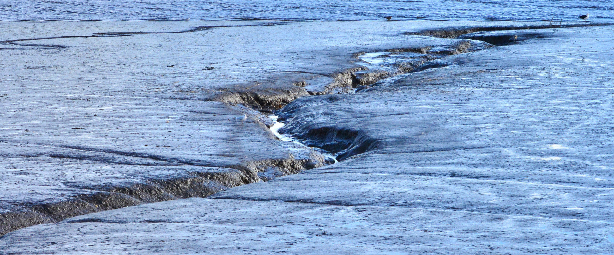 Deep chasms in the river bed 1