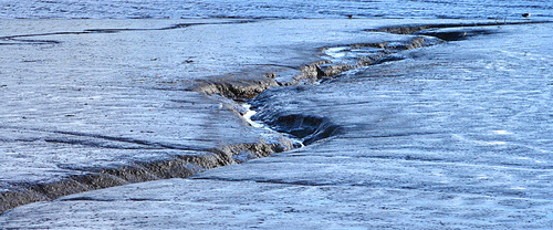 Deep chasms in the river bed 1