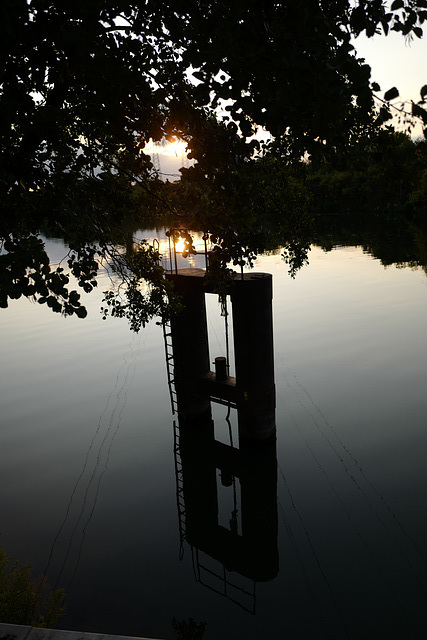 reflets, seine, couchant, arbres