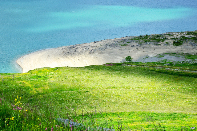 .... a proposito di verde ed azzurro ...