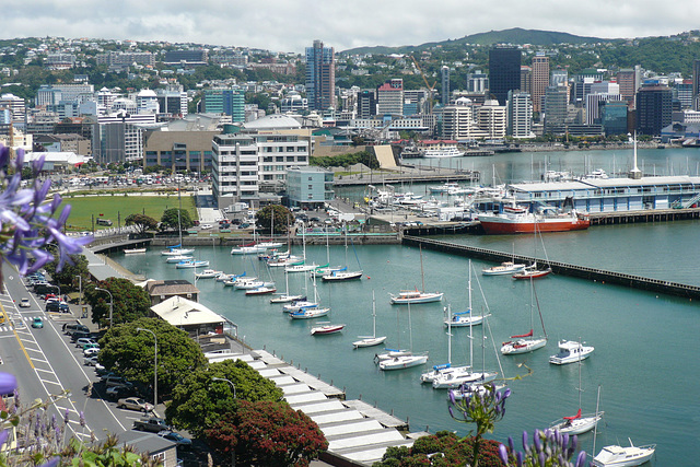 Wellington Harbour