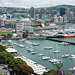 Wellington Harbour