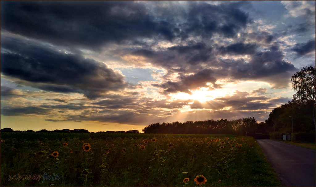 Abendstimmung