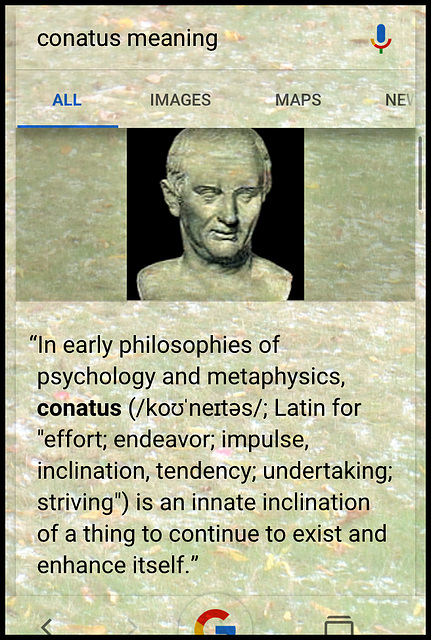 Conatus~ Latin for "effort; endeavor; impulse, inclination, tendency; undertaking; striving"