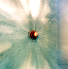 Shell Zoom Burst