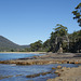 Tessellated Pavement