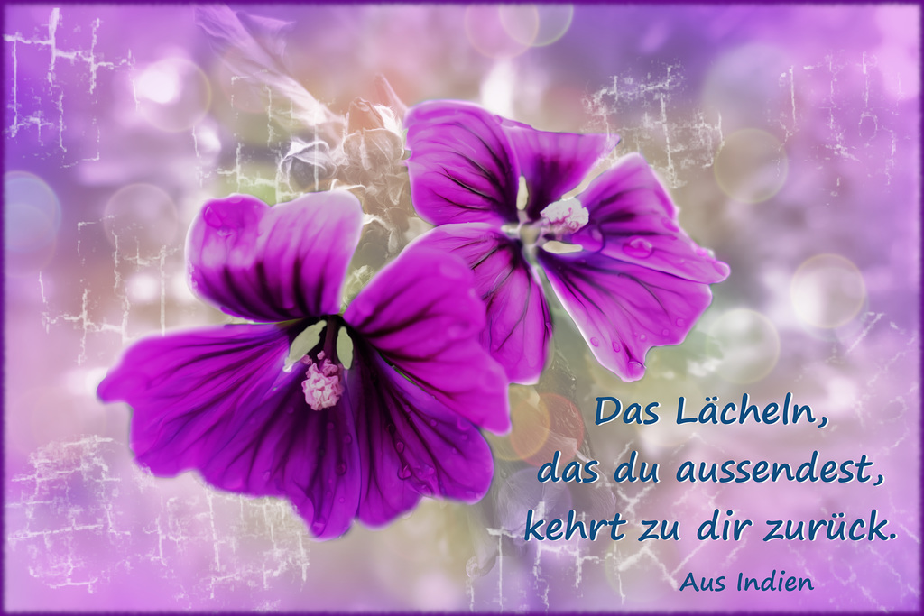 indische Weisheit (pip)