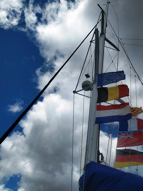 Banderas al viento