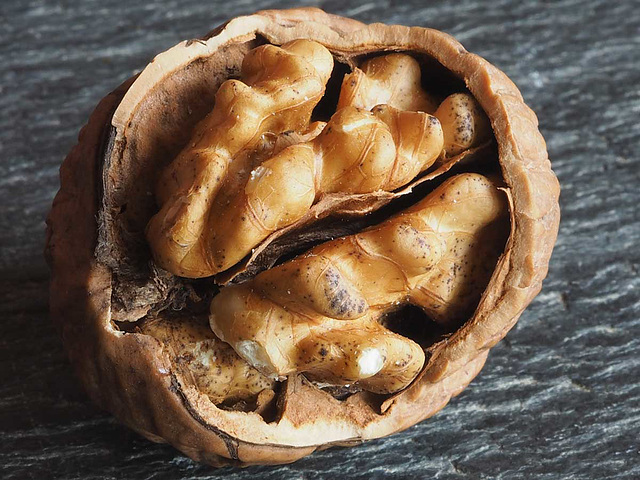 Walnut