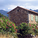 HFF - Galeria - Corse 2014
