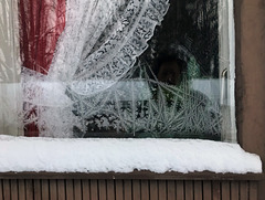 pretty ice on the window