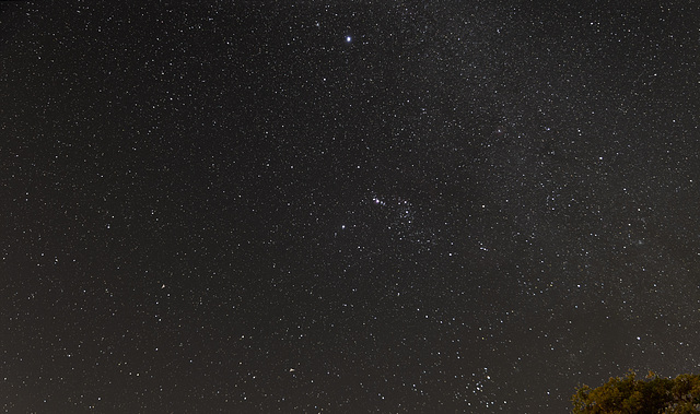 Southern Orion.